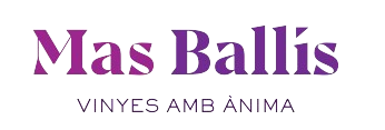 Mas Ballís